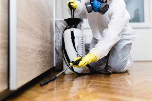 Pest Control Cost in Oak Grove, VA